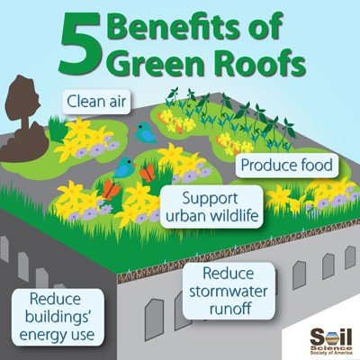 five benefits of green roofs